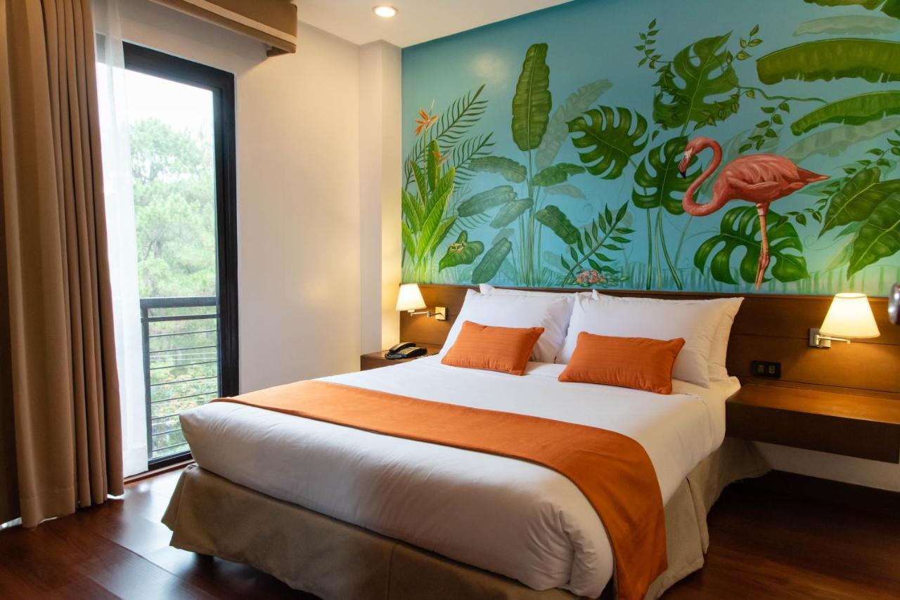 Giraffe Boutique Hotel 바기오 외부 사진